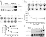 Figure 1 - Unfortunately we are unable to provide accessible alternative text for this. If you require assistance to access this image, please contact help@nature.com or the author